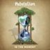 In the Moment (Rebelution album)