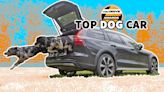 The Drive's Top Dog Car of 2023 Is the Volvo V60 Cross Country