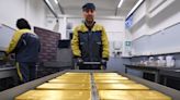 Gold gains as dollar dip offsets some pressure from rate hike bets