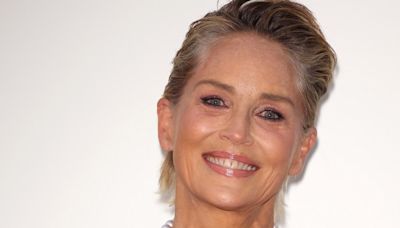 Sharon Stone Shares Photo of Black Eye During Trip to Turkey