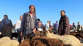 Tunisians struggle to buy sheep for Eid as economic crisis bites