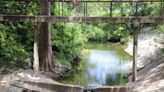 Trees on a university campus endure droughts with help from leaky pipes