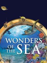 Wonders of the Sea 3D