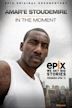 Amar'e Stoudemire: In the Moment