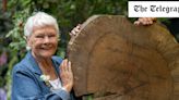 Join me to march for nature, Judi Dench urges the public