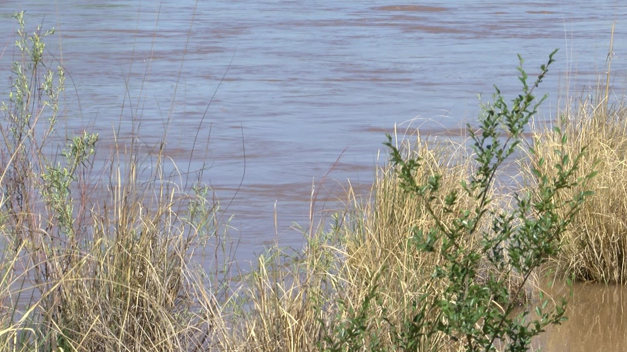 US dedicates $60 million to saving water along the Rio Grande as flows shrink and demands grow