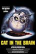 A Cat in the Brain