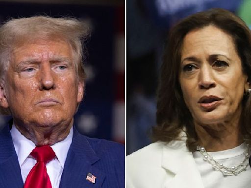 ANÁLISIS | Harris y Trump compiten por el centro