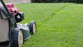How Often Should You Mow Your Lawn? 8 Tips to Time It Right