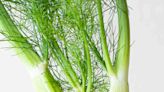 What Is Fennel?