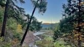 Larison Creek Trail shimmers with autumn color on stunning hike near Eugene