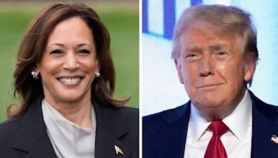 Kamala Harris or Donald Trump, the US must avert a new nuclear arms race