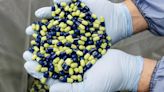 Indústria farmacêutica exige contrapartidas para criar antibióticos