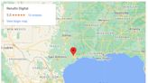 Results Digital – Spring SEO Company Expands Service Area to Spring, TX