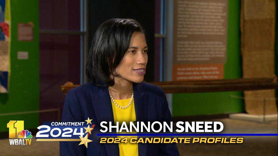Profile: Sneed touts character, ethics in council president's race