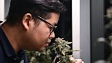 Thailand Prime Minister Seeks to Criminalize Weed in Reversal