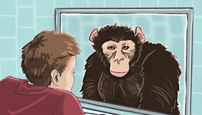 The ape in the mirror