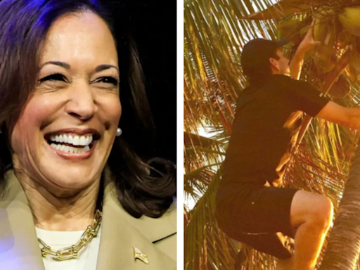 What’s the buzz about Kamala Harris' 'coconut tree' meme? - Times of India