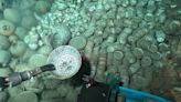 Treasure trove recovered from ancient shipwrecks 5,000 feet underwater