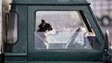 Road laws: having your dog in the front seat of your car while driving