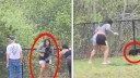 Watch: Teen Drops and Injures Black Bear Cub After Pulling It Out of a Tree to Take Photos with It