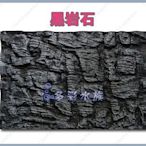台北►►多彩水族◄◄嚴選《3D立體 背景板 / 黑岩石》(60×45cm)立體 岩板、魚缸 造景板、園藝 造景