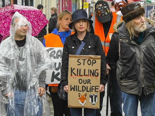 Anti-hunt protesters take to streets backed by TV presenter