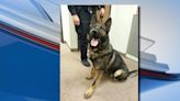 Bath Township Police Department’s first K9 officer dies: ‘You were such a good boy’