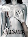 Cadaver