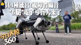機器人版"可魯"!上海交大研發"6腿"電子導盲犬測試 具4種"感官"還過目不忘~視障人士親測:體驗很棒【今日大陸360】20240505@Global_Vision | 中天新聞網