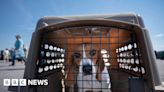 US dog breeder fined $35m after 4,000 beagles rescued