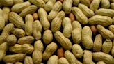 Some Planters nuts recalled over listeria concern