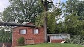 Tree falls onto home in Montgomery County