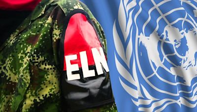 Organización de Naciones Unidas apoyó propuesta extender cese al fuego con el ELN en Colombia