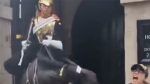 女遊客倫敦皇家騎兵衛隊博物館合照被馬咬傷