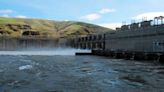 The science is clear. Dams must be removed for Snake River salmon to have a future | Opinion