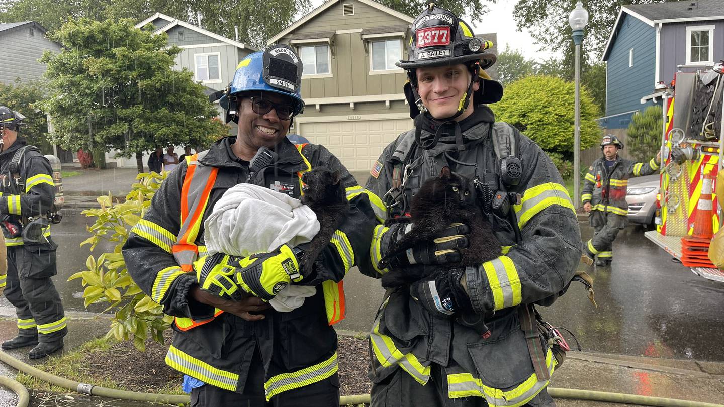 Pets rescued in Kent house fire