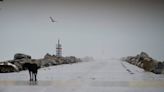 Alberto, season’s first named tropical storm, dumps rain on Texas and Mexico, which reports 3 deaths - The Boston Globe