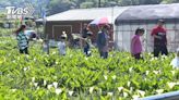 人體缺乏這一種「微量營養素」 醫師：導致骨質疏鬆、肌肉無力！