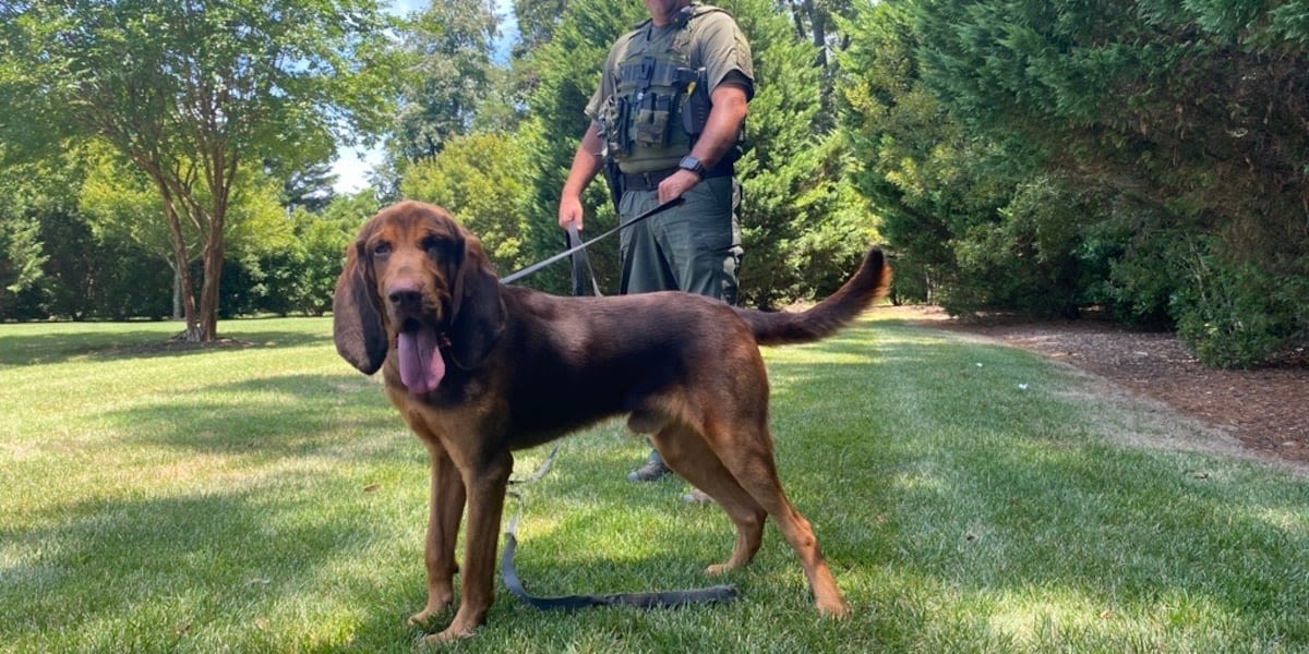 K-9 reunites child found walking alone on road with his family