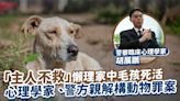 「主人不救」懶理家中毛孩死活 心理學家、警方親解構動物罪案