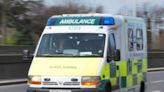 Paramedics ‘chastised’ for using better PPE on lockdown callouts – inquiry told