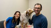 Building the Valley: New concept in vet care, Pets After Dark, founded by Fox Chapel couple