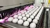 Bird flu, weather and inflation conspire to keep egg prices near historic highs for Easter