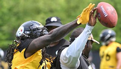 Mark Madden: Steelers' outlook grim after underwhelming offseason, questionable roster decisions