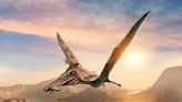 Un cultivateur d'avocats déterre les fossiles d'une nouvelle espèce de ptérosaure