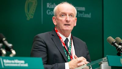 Transfer of responsibility delayed roll-out of neuro-rehabilitation teams, says HSE boss