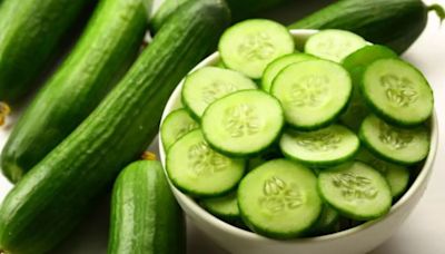 Untreated Water Caused Salmonella Outbreak In Cucumbers Leaving 450 Sick In The US; All About The Bacterial Poisoning