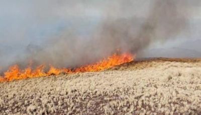 Incendios en Córdoba: arde desde el domingo el cerro Champaquí, y la geografía y el viento complican la pelea contra las llamas