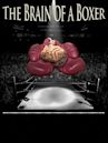 The Brain of a Boxer